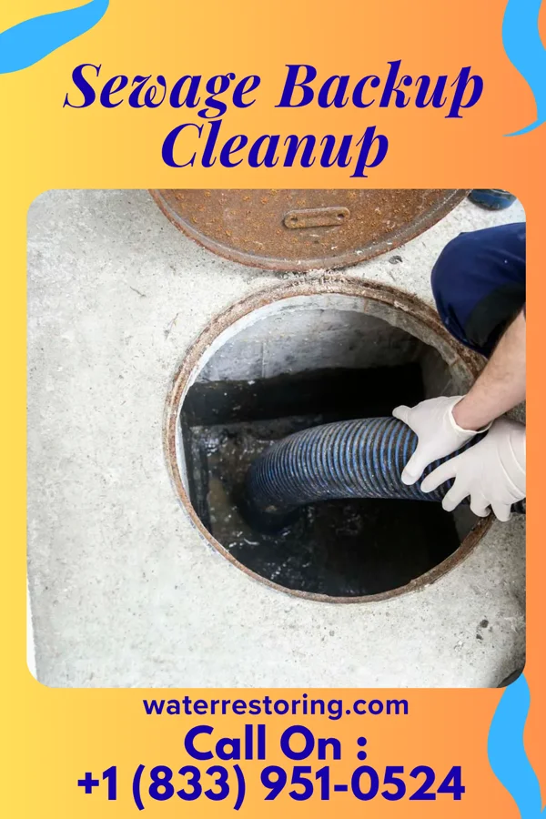 Sewage Backup Cleanup in Sparta, TN